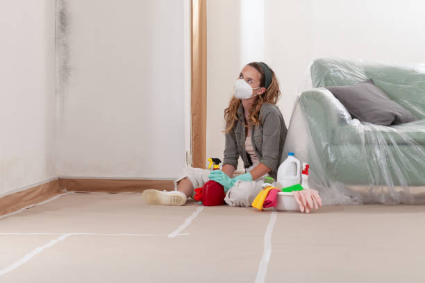 Reliable Commercial Mold Remediation contractor in Brooklyn, NY by WQB Mold Removal